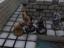 Frostgrave-Sellsword1